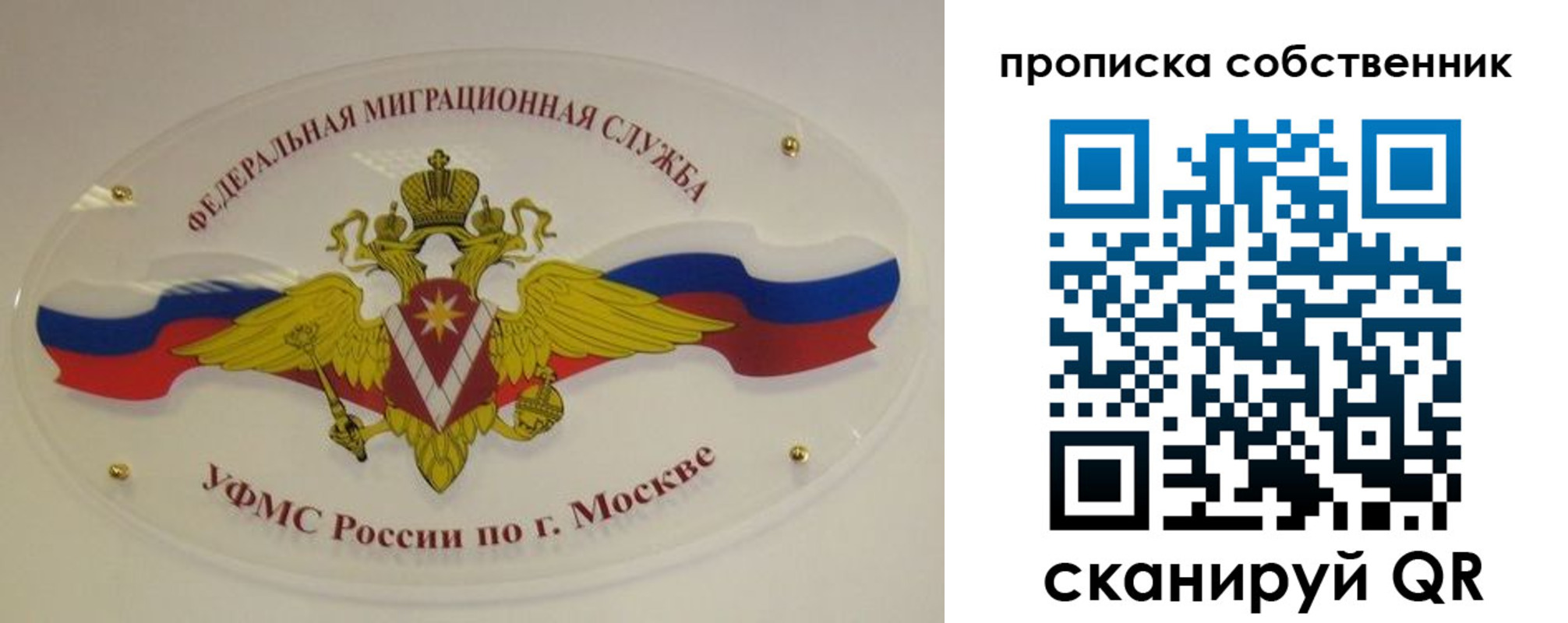 прописка 2025 в Балтийске
